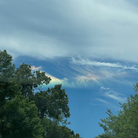 Meet your Posher, Ava - Picture 1 of 1